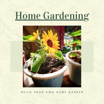 How to Care for Your Garden Plants