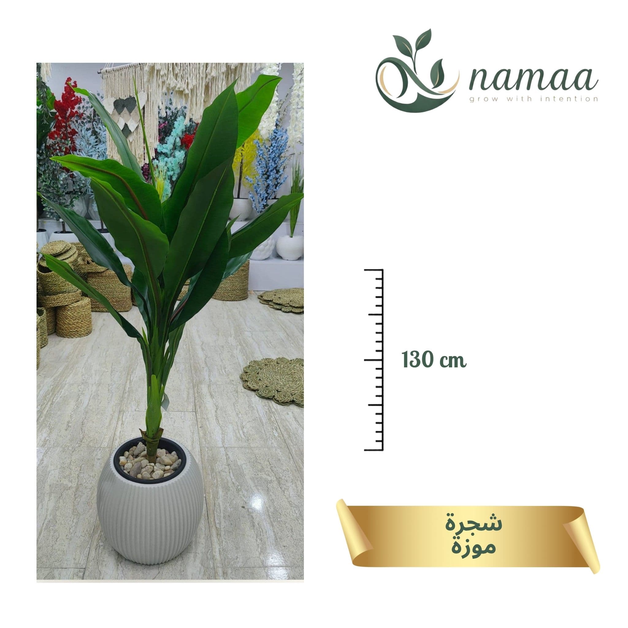 Banana tree