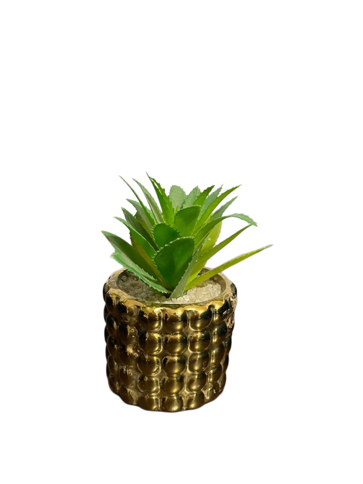 Artificial Cactus