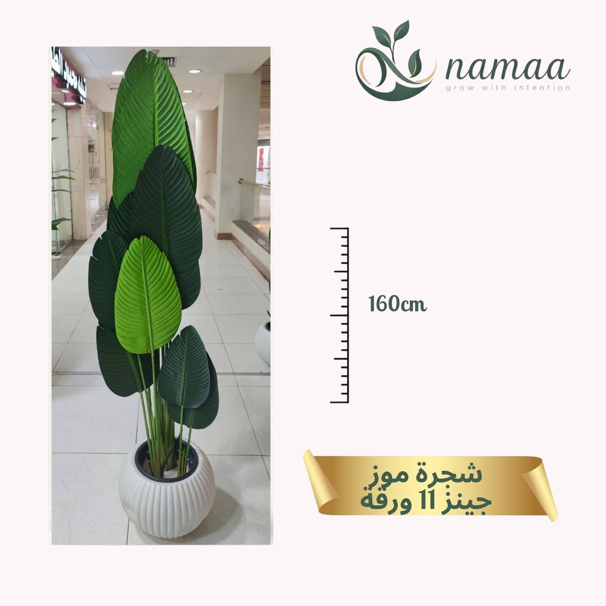 Banana tree