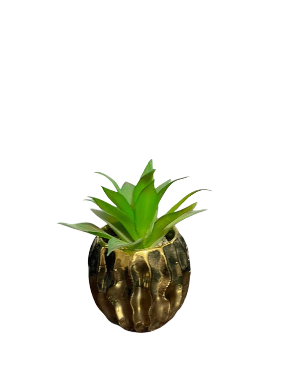 Artificial Cactus