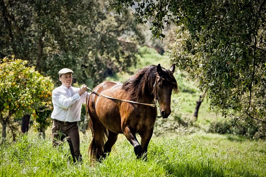 Esmeralda Equestrian Club
